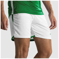 Stanno Focus Shorts II (Adult)